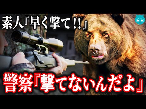 街に出てきたクマの駆除が激ムズな理由｜行政の保全活動がガチだった件#2