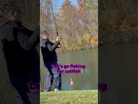 Fishing For Catfish Fish Videos!! 🎣🐟 #shorts #fishing #catfish