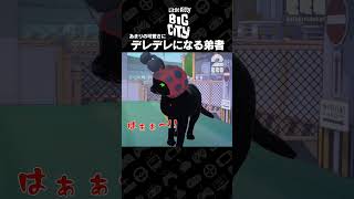 あまりの可愛さにデレデレになる弟者【Little Kitty, Big City】 #shorts