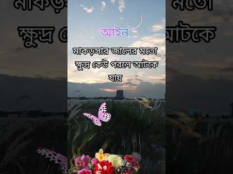 আইন হলো মাকড়সার জালের মতো | #shortvideo #shorts #quotes #salon #foryou