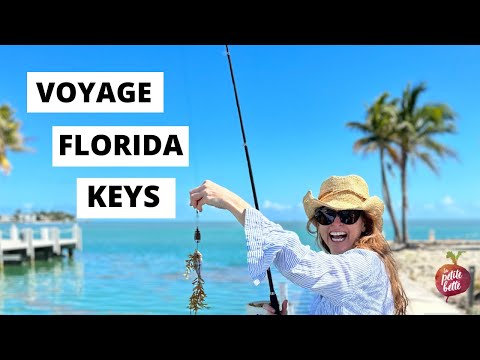 VOYAGE dans les FLORIDA KEYS  🌴 Bette vlog