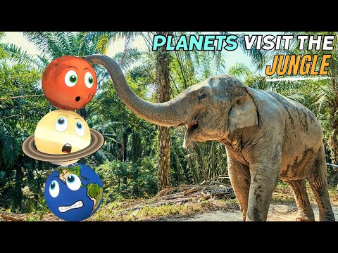 The Solar System Planets visit a Jungle! Learning about Space and Earth | Geography