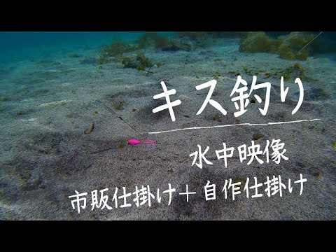 【sillaginoid fishing】How to move with underwater video-Try to make your own gimmick-