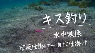 【キス釣り】仕掛け　動き方　水中映像付き　〜自作仕掛けを作ってみる〜