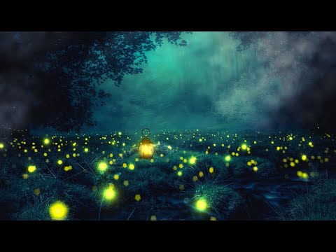 Night time Forest Sounds | Crickets, Owls,  Wind in Trees |  Relaxation and Meditation | 3 Hours