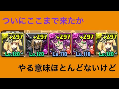 【パズドラ】極錬サレサレ　1枚抜き　ダンボ７～