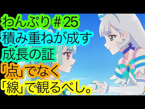 最早深夜アニメ級の丁寧さ『わんぷり』25話の感想。神回19話の感想も軽く語ります。【場違い】【わんだふるぷりきゅあ！】