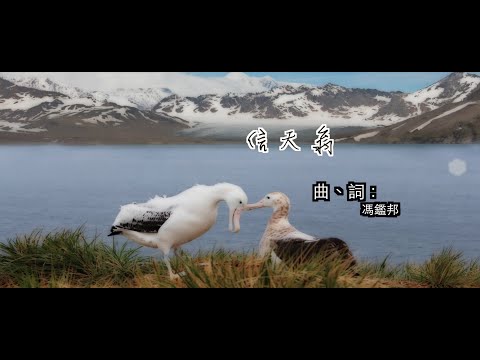 【青草原詩歌】信天翁（粵）