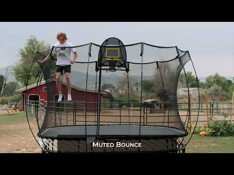 AlleyOOP vs Springless Trampolines Review and Comparison