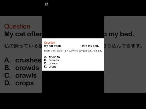 楽しく英語を学ぶ　#英語科目　#受験英語　#shorts