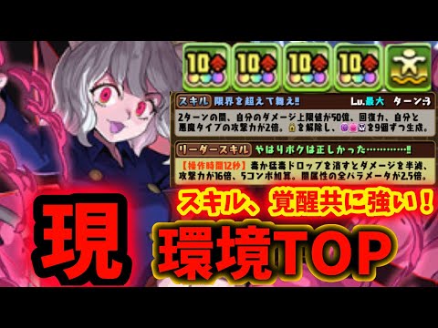 【環境TOPに君臨】ピトーを使って千手楽々周回！