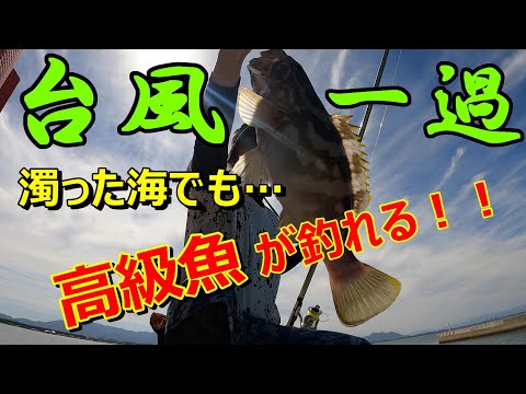 台風の後って実は激アツ！？濁った海で検証します！【福岡県の釣り】【46釣目】 fishing after a typhoon