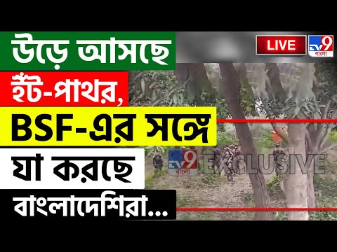 BREAKING | BANGLADESH | ছুড়ছে ইঁট-পাথর, BSF-এর সঙ্গে যা করছে বাংলাদেশিরা | INDIA BANGLADESH BORDER