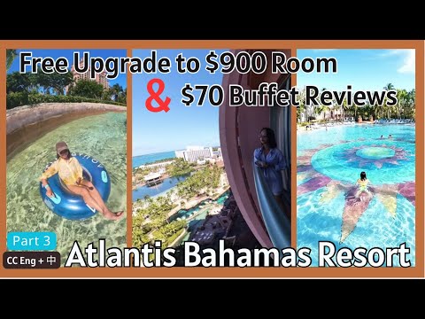 Atlantis Bahamas 奇蹟發生了!房間被免費大升級?酒店為什麼請我吃自助餐?My room was upgraded to double the price for FREE!