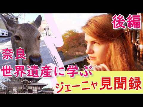 【奈良観光】奈良‼世界遺産に学ぶ街　(後編）