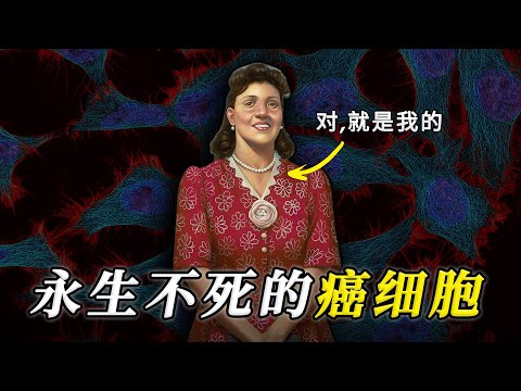 这是人类发现的第一个永生细胞，1000年后，它也许还在继续分裂