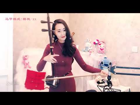 Traditional Chinese Musical Instruments Erhu play musicDesert camel