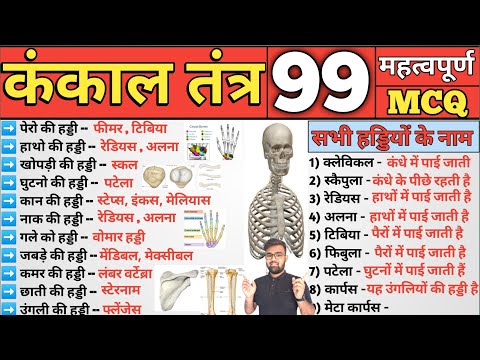 Skeletal System in Hindi | कंकाल तंत्र | Skeletal System MCQ | Gk science | Science Gk | Biology MCQ