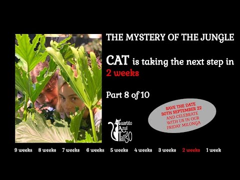 The Mystery of the Jungle Part 8