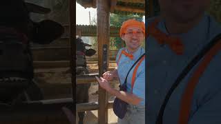 Help Blippi Feed a Bull! | Animals for Kids | Educational Videos #blippi #animalsforkids #shorts