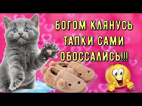 Позитивчик для Моих Друзей! Классная и Весёлая Музыкальная Открытка для Настроения! Улыбнись!