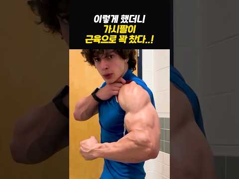 반팔을 근육으로 꽉 채울 수 있는 방법