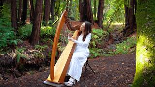 Heaven's Embrace: 1 Hour Calming Harp Meditation