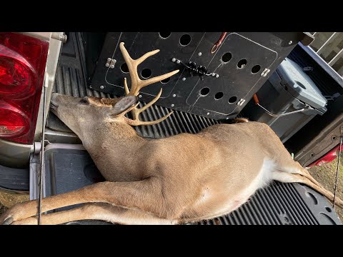 SC Deer Dog Drives 12/18/21: Big Buck Killed!