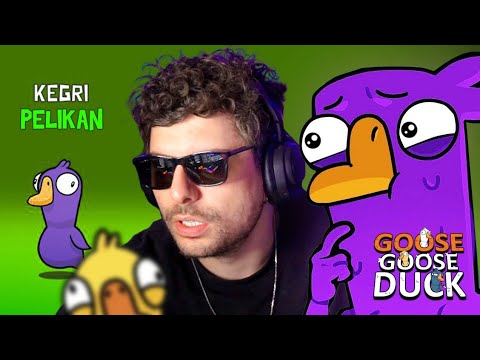 PELİKAN OLMAK BANA HARAM! | Goose Goose Duck