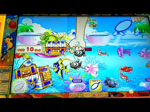 【最新メダルゲーム】いっしょに！金魚パラダイス