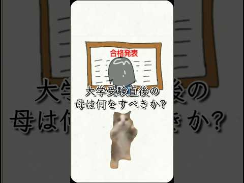 大学受験が終わったばかりの母親は、何もしない方がいいのか？ #shorts　#猫ミーム