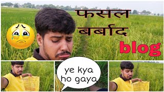 फसल ll बर्बाद हो गई सालों की ll मेहनत पे पानी फिर गया 😭😔😱#highlights #crop #distroy #viralvideo