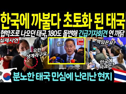 한국 무시하다 초토화된 태국 현지! 관광객들 다 떠나자 돌변한 정부의 긴급 기자회견?!