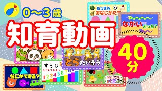 【連続４０分】知育動画まとめ！０〜３歳向け