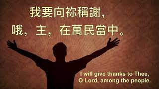 至高真神 BE EXALTED O GOD # 501