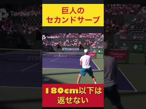 １８０cm以下は絶対返せないオペルカタパルト#tennis #シャポバロフ #Shorts