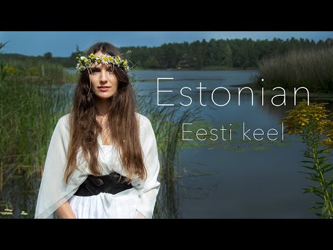 About the Estonian language