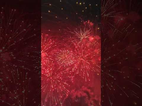 Diwali Fireworks Celebration Shivaji Park Mumbai #ytshorts #diwali2024 #mumbai