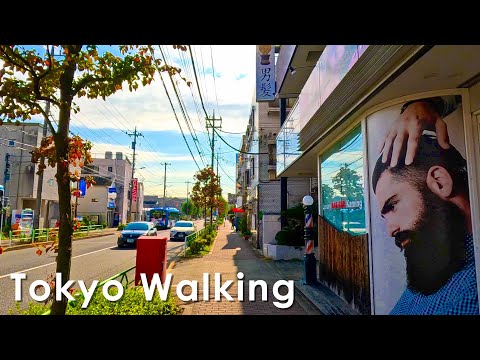 Tokyo, Japan, Walking around Hoya in Nerima Ward 4K