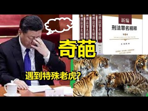 習近平冒汗了！“深夜打虎”首曝奇葩新罪名，問題真的嚴重了！ xiao feng news world