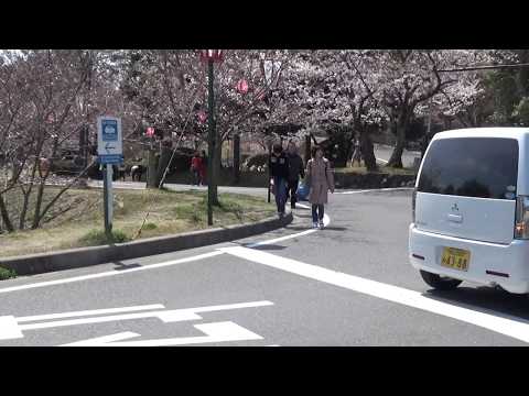 ぶらり深山公園　　玉野市