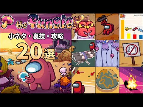 【Among Us】新マップ「the Fungle」 小ネタ・裏技・攻略20選