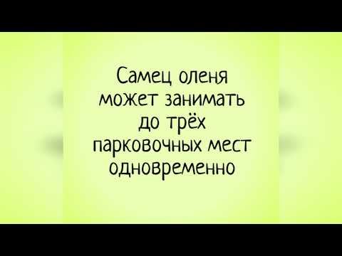 Анекдот про водителя! Смешно, Ржач, Смотреть до конца!