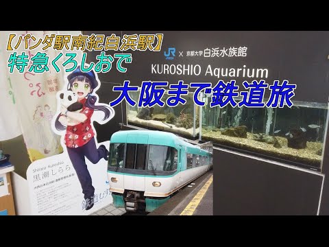 【オーシャンアロー２８３系】特急くろしおで白浜から大阪を乗車した。