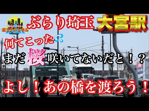 【ぶらり.埼玉】何？桜咲いてないだと！とりあえず大栄橋を渡ろう