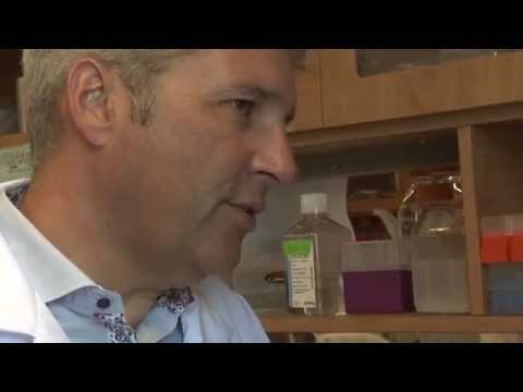 Dr. Rodney Ouellette NBHRF August 2014 Researcher of the Month