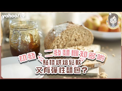 【麵包發酵原理 】初學者做麵包不失敗製超軟麵包！了解初發、二發時間