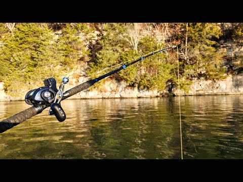 MONSTER Fish From 73 FEET OF WATER!! (Winter Fishing)