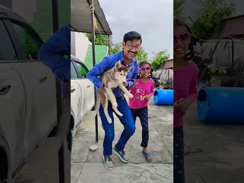 main tujhko bhaga laya hun funny 🐶🤣 #trending #ytshorts #viral #shorts