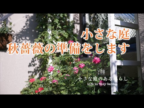 ガーデニング｜小さな庭、秋薔薇の準備をします｜ 〜小さな庭のある暮らし#88 〜Gardening ｜ Life in a tiny garden